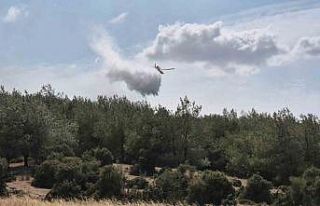 Edirne’de çıkan yangın ormanlık alana sıçradı:...