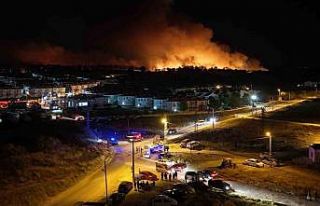 Edirne’de orman yangını: Alevlerin evlere sıçramasına...
