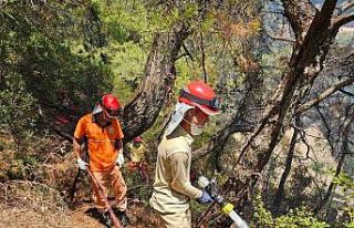 Ekipler zamanla yarıştı, önce alevlere sonra köylülerin...