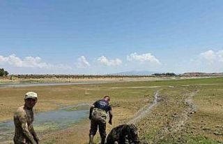 Ekiplerin canhıraş mücadelesi takdir topladı