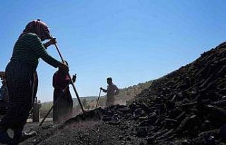 Ekmeğini kömürden çıkaranlar: Mevsimlik kömür...