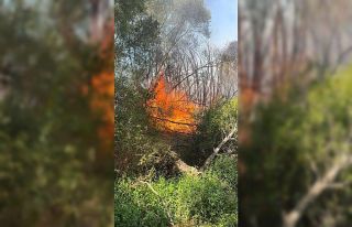 Elazığ’da otluk alanda yangın