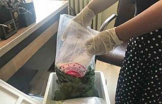 Elazığ’da pestisit denetimleri sürüyor