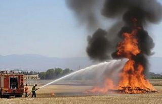 Elazığ’da tarla yangını