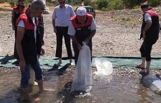 Elazığ’daki su kaynaklarına 5 milyon 786 bin...