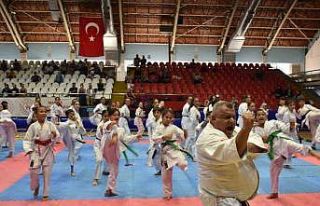 Emniyet amiri tatamiye çıktı