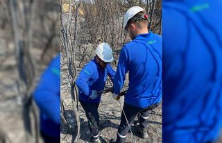 Enerji hatları yangının ardından yeniden onarılıyor