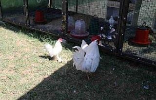 Engelsiz Yaşam Merkezi’nden yeni rehabilitasyon...