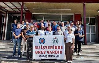 Erciş SYDV çalışanları greve başladı