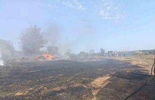 Erdek’te zeytinlik ve otluk alanda çıkan yangın...