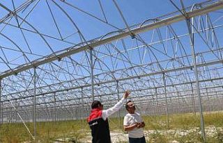 Erzincan’da jeotermal sera yatırımları devam...