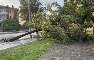 Erzincan’da sağanak ve fırtına hayatı felç...