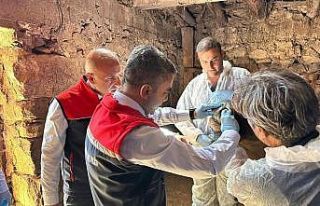 Erzurum’da hastalık takibi kararlılıkla devam...