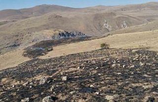 Erzurum’da korkutan ot yangını
