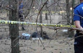 Erzurum’da ormanlık alanda erkek cesedi bulundu