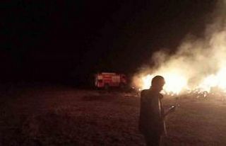 Erzurum’oa ot yangını