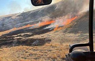 Eskişehir’de otluk alanda çıkan yangın ormana...