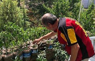 Eskişehirli esnaf iş yerinin balkonunu bahçeye...