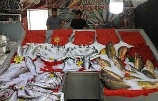 Esnafta ‘balık sezonu’ hazırlığı