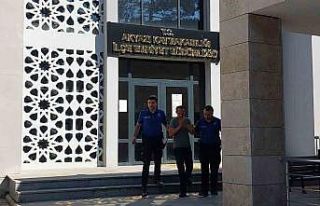 Evini kenevir bahçesine çeviren şahıs tutuklandı