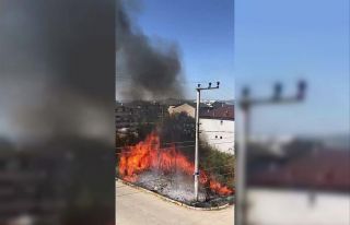 Evlerin bitişiğinde çıkan yangın korkuttu
