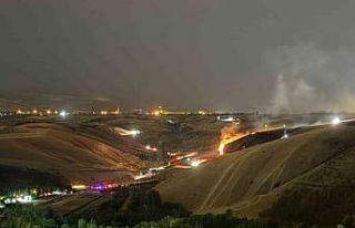 Eymir Gölü yakınlarındaki otluk alanda çıkan...