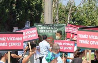 Fabrikaların dereye bıraktığı atıklara tepki...