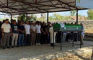 Felçli kocasını tıraş ederken görüntülenmişti,...