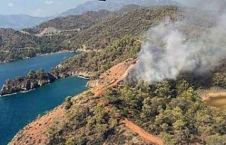 Fethiye’de orman yangını