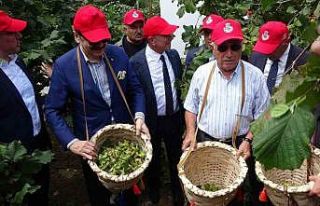 Fındıkta hedef 5 milyar dolar ihracat geliri