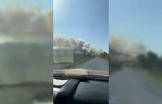 Gelibolu’da orman yangını