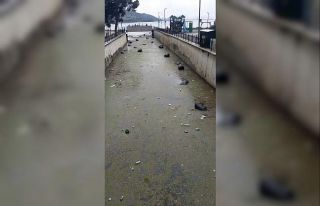 Gemlik körfezi çöplüğe döndü
