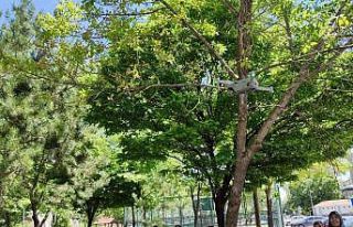 Genç KAYMEK’ten dron eğitimi