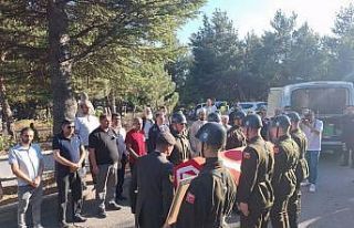 Genç yaşta hayatını kaybeden Bolulu asker son...