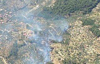 Germencik’te orman yangını