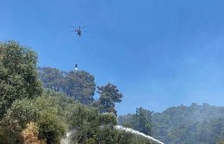 Germencik’teki orman yangını kontrol altına alındı