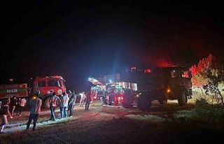 Geyve’de çıkan yangında 5 dönüm alan zarar...