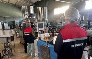 Gıda satışı yapan 254 işyeri denetlendi