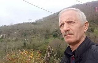 Giresun’da armut ağacından düşen adam öldü