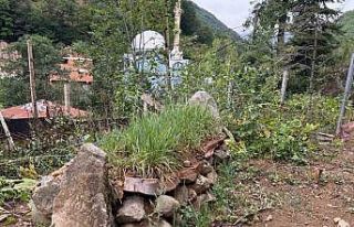 Giresun’un manevi değerlerinden Hacı İlyas’ın...