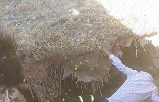 Göçük altında kalan yaşlı kadın kurtarıldı