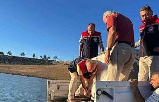 Gökçedere Göleti’ne 150 bin sazan yavrusu bırakıldı