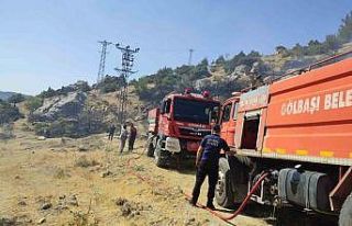 Gölbaşı’nda orman yangını