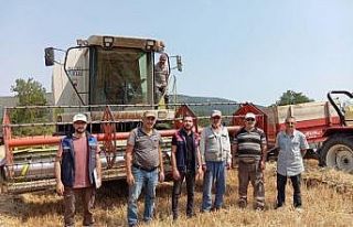Gölpazarı’nda hasat kontrolleri tüm hızıyla...