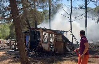 Gönen’de çamlık alanda yangın paniği: Arı...