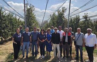 Gönen’de kahverengi kokarca zararlısına karşı...