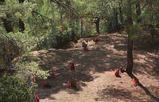 Gözpınar’da şehitler için anma töreni düzenlenecek