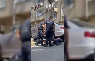 Gurbetçi aileye dönüş zamanı kedi sürprizi