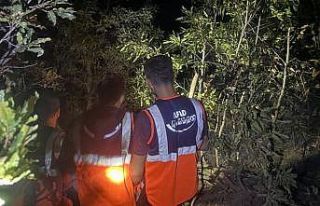 Hakkari’de orman yangını