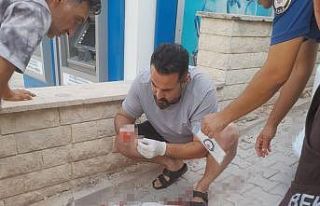 Hamile köpeği tüfekle vuran cani tutuklandı